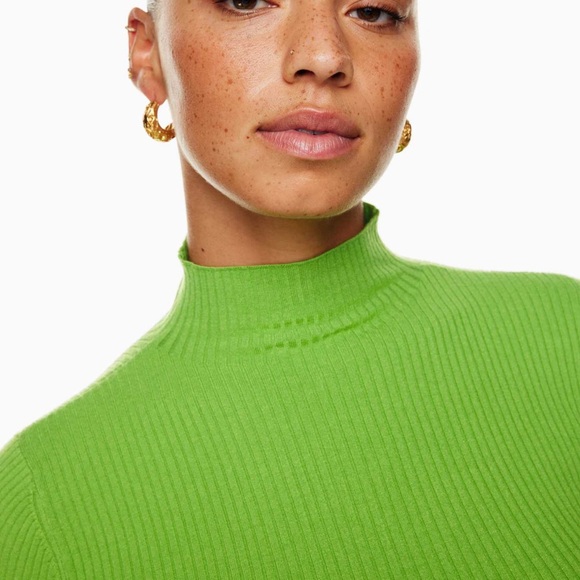 Aritzia Wilfred Trilogy Turtleneck - Cucamelon Green Ribbed Longsleeve Sweater - Picture 6 of 9